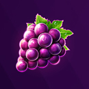 joker joy paytable symbol Grape