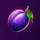 joker joy paytable symbol plum